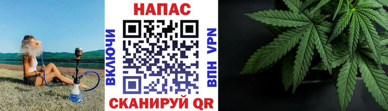 Шишки марихуана LSD WEED Ленинградская